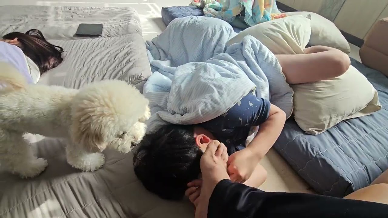 늦잠 자는 태우 깨우기