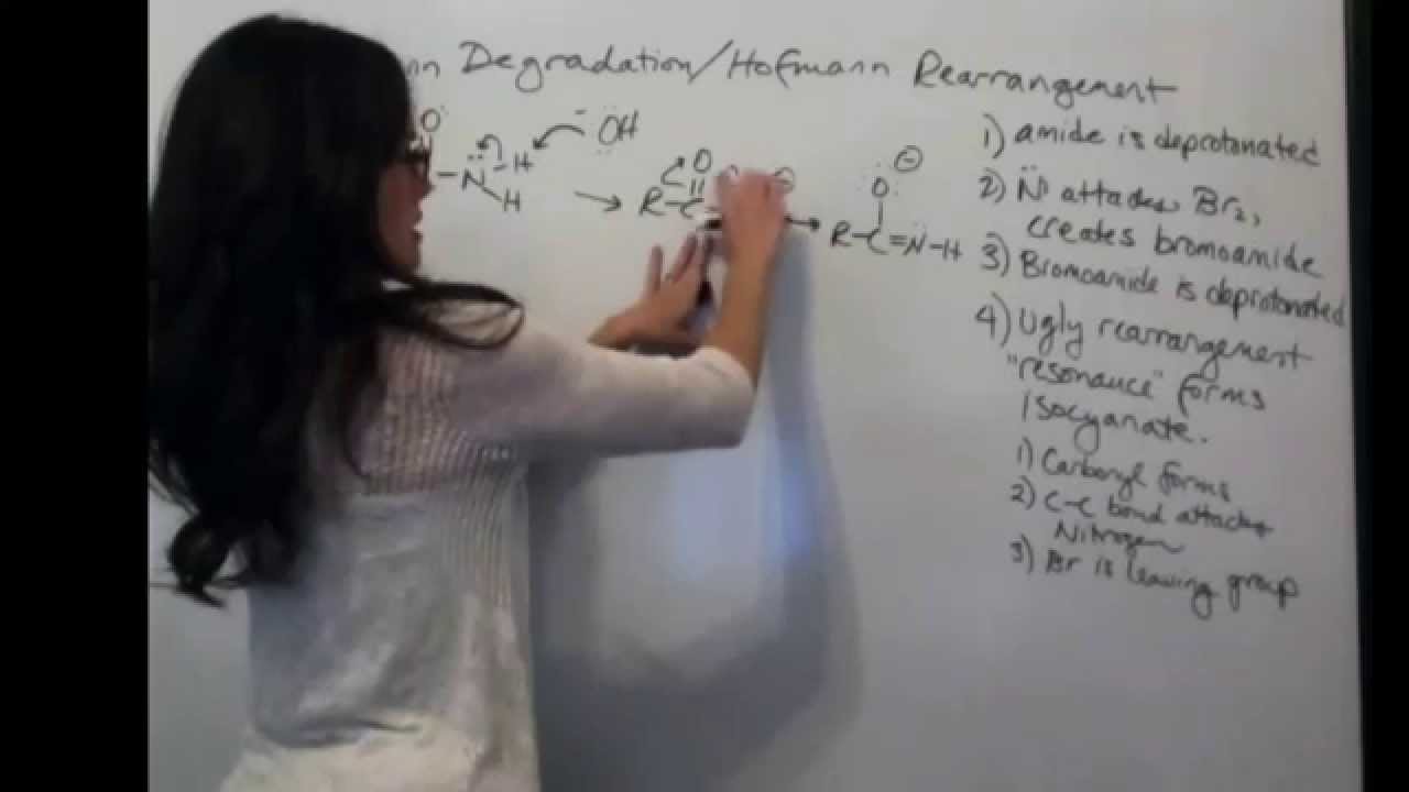 Hofmann Degradation