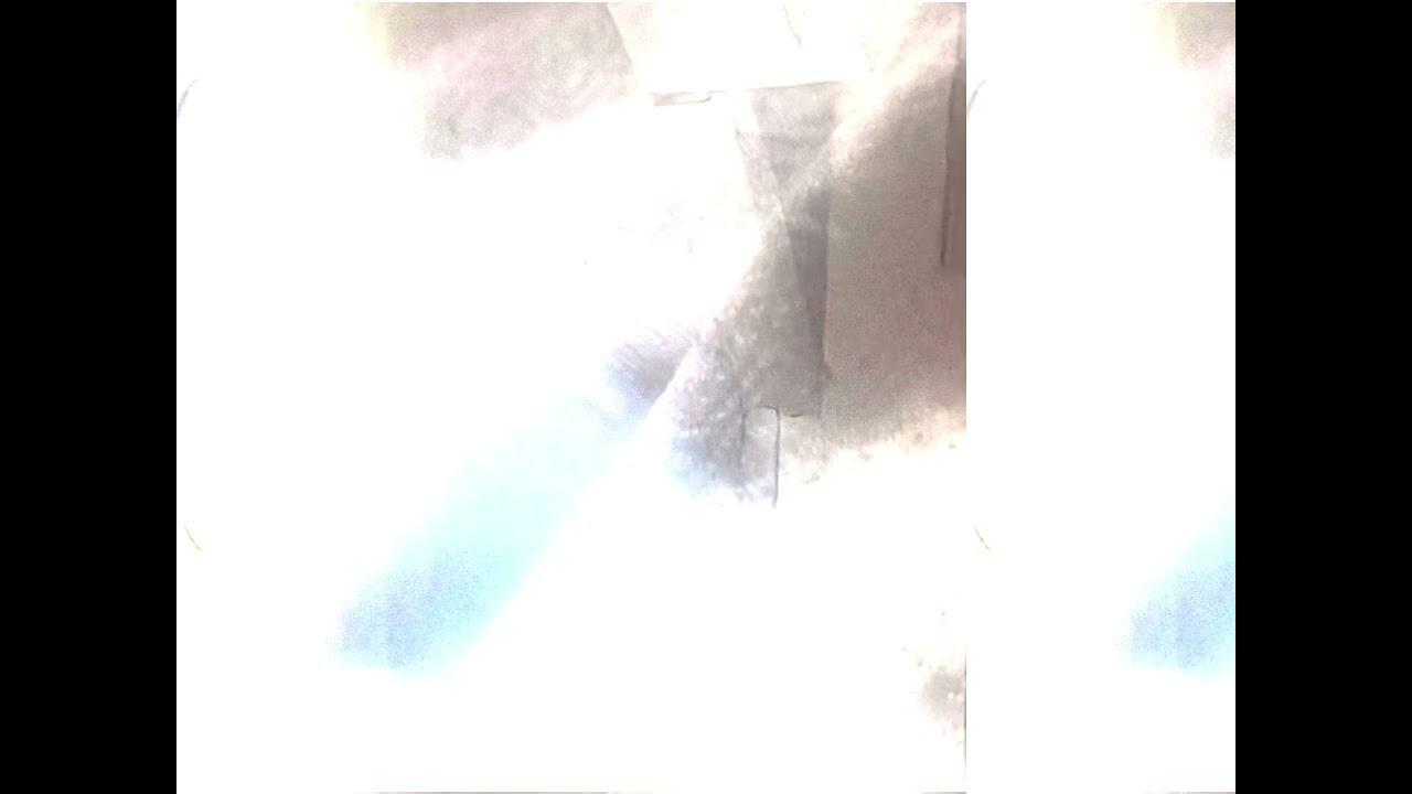 BassQ