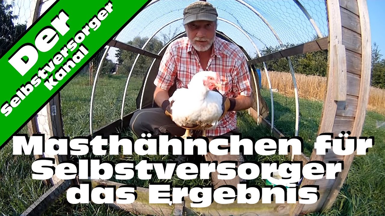 Masth&auml;hnchen f&uuml;r Selbstversorger das Ergebnis