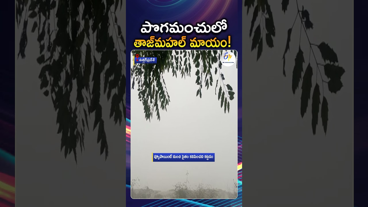 Taj Mahal Disappears In Dense Fog | Zero Visibility At Agra Viewpoint