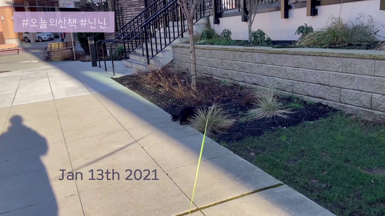 [20210113] 오늘의 산책 