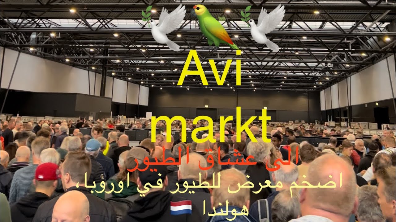 (2022)اكبر معرض للطيور في اوروبا،هولندا/كريم احمد لتربية الببغاءات الذكية