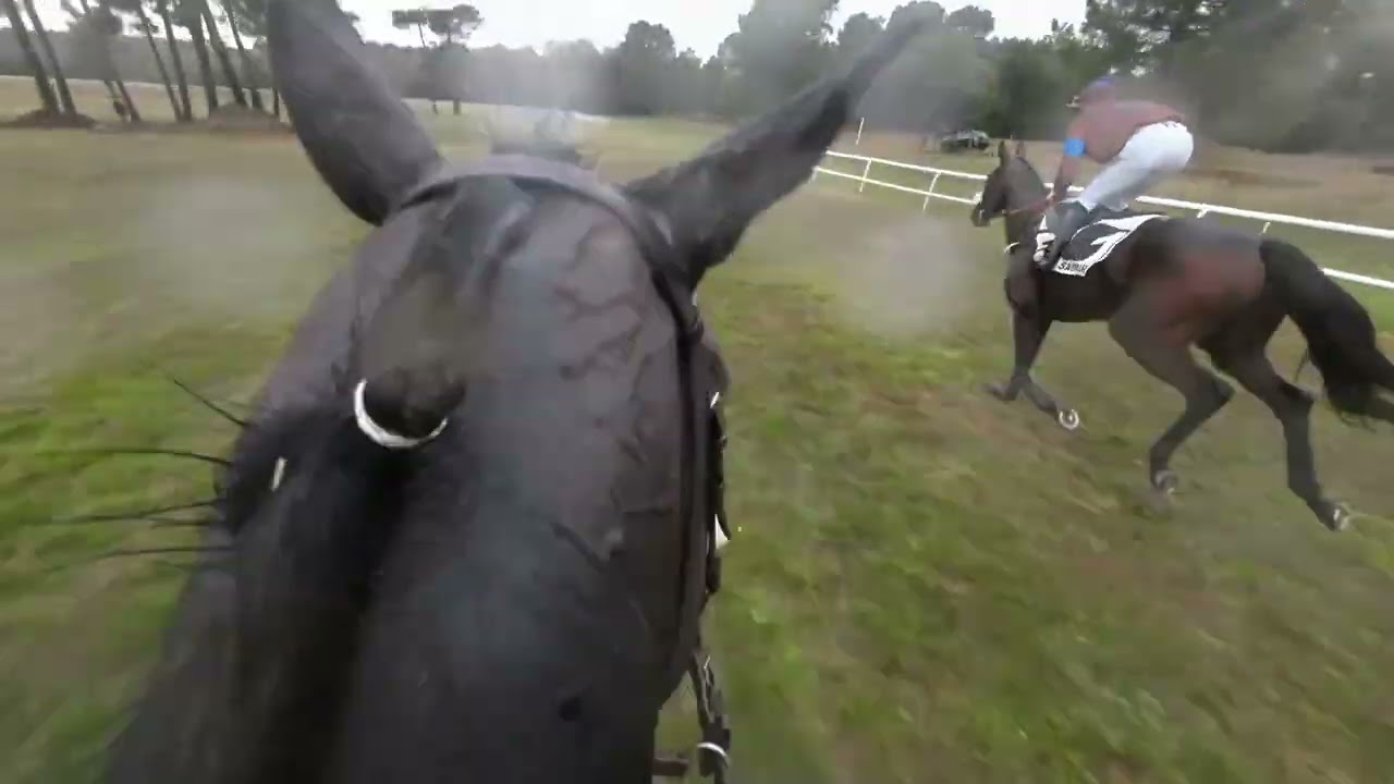 Je Suis Divin, en selle avec Clément Lefebvre dans le Grand Cross de Saumur