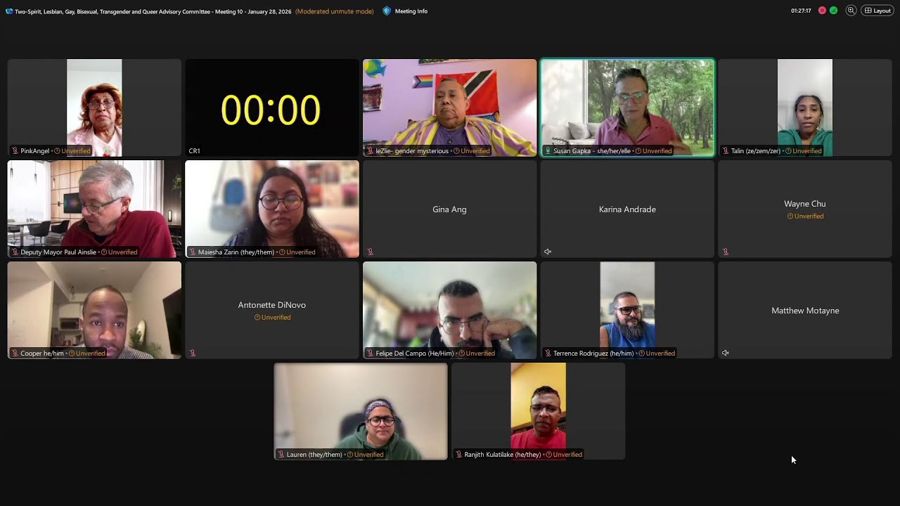 Two-Spirit, Lesbian, Gay, Bisexual, Transgender and Queer Advisory Committee - January 28, 2026