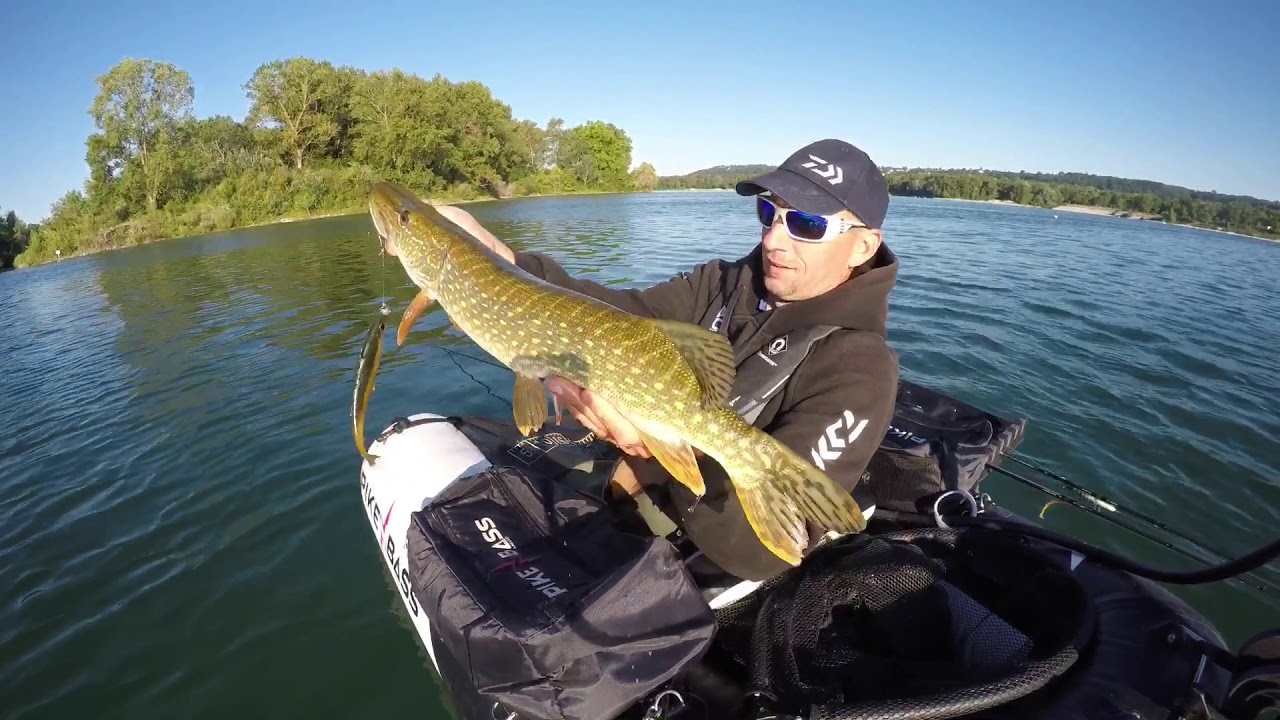 Pêche brochet Lyon grand large Miribel
