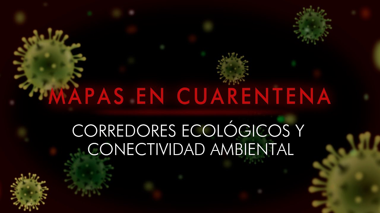 Corredores ecológicos y mapas de conectividad