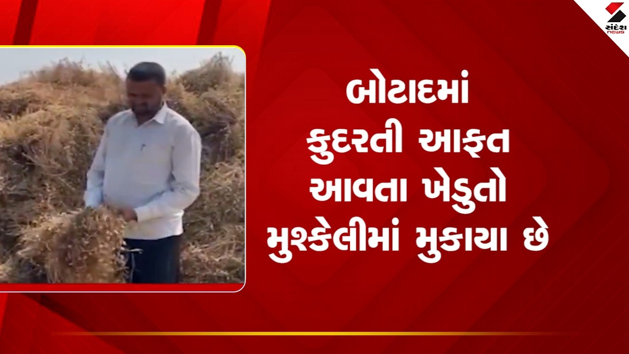 Botad | બોટાદમાં કુદરતી આફત આવતા ખેડુતો મુશ્કેલીમાં મુકાયા છે | Unseasonal Rain | Gujarat Weather