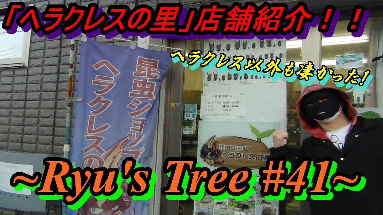 【ヘラクレスの里】横浜市鶴見区にあるショップは外国産カブトの宝庫だった　Ryu's Tree#41【店舗紹介】【カブトムシ・クワガタのお店】