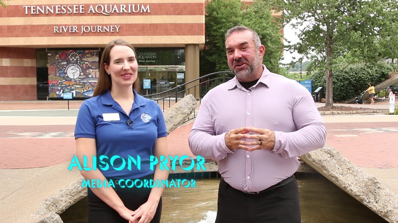 Tech Byte - Life Support Tech keeps Your Favorite Aquarium Up and Running