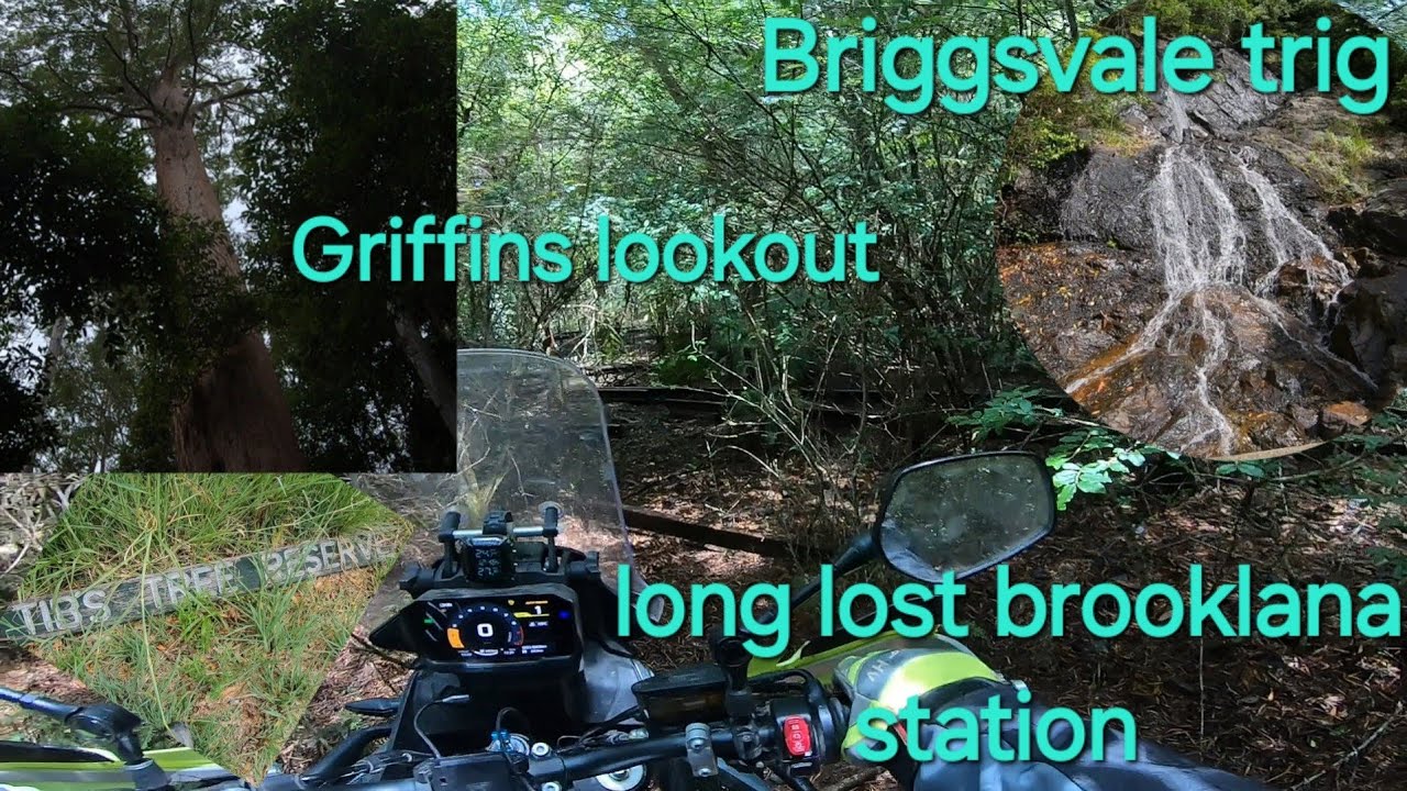 Dorrigo day adventure on #cfmoto450mt