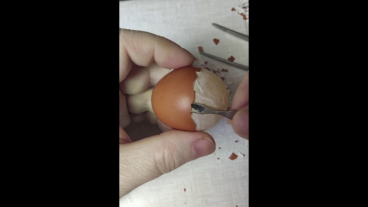 🇧🇾 Скорлупа's Live broadcast