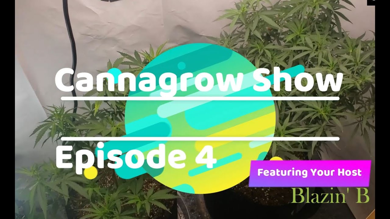Cannagrow Show Episode 4 | Closet Veg | 2 Clones and 5 seedlings |