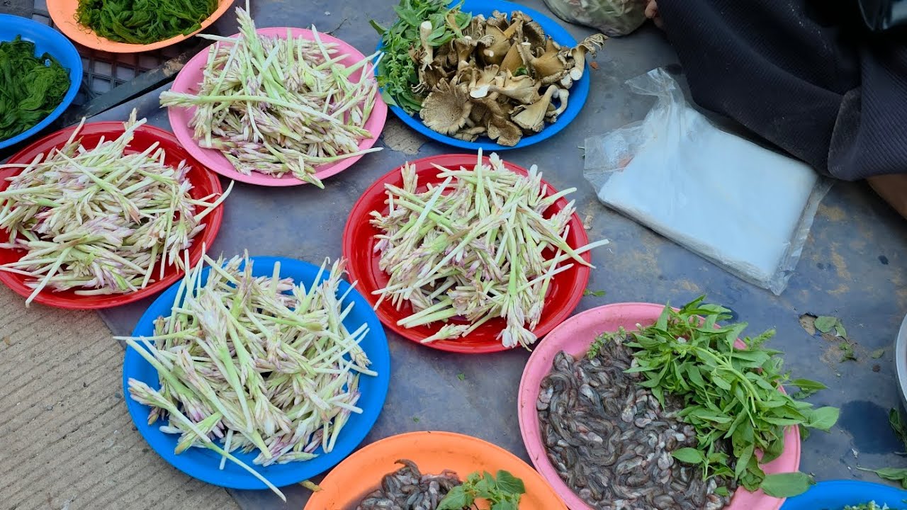 ตลาดนัดไทย-ลาว บ้านหนาด จ.นครพนม ดอกกระเจียว ของป่าลาว ลูกตาลแนวแซ่บ ผลไม้ลาว 