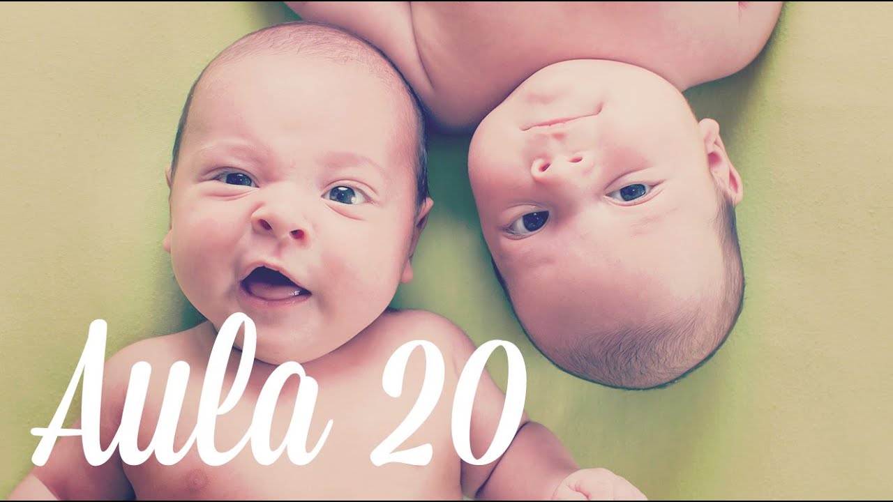 Aula 20 - A amamentação de gêmeos