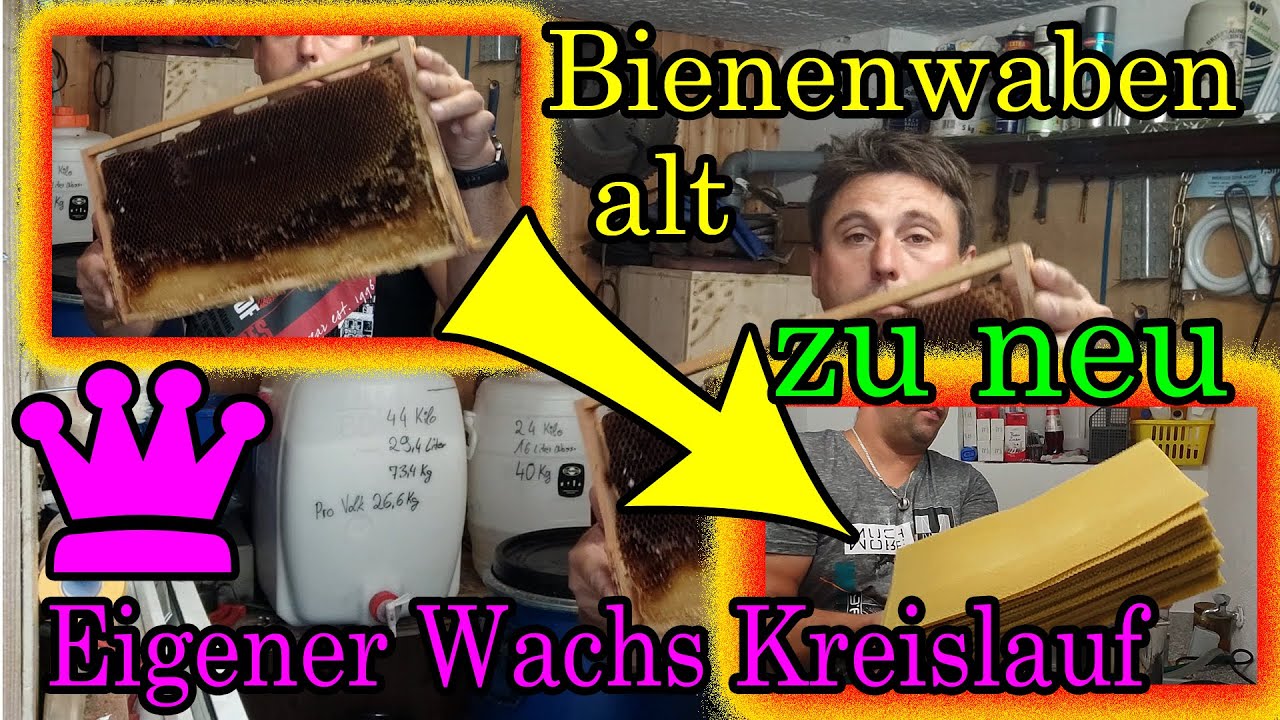 Eigener  Wachskreislauf, Bienenwabe-Hygiene, aus alt mach neu