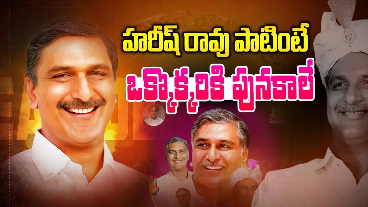 హరీష్ రావు పాటింటే పునకాలే | Harish Rao Birthday Special Song 2025 | News Line Telugu