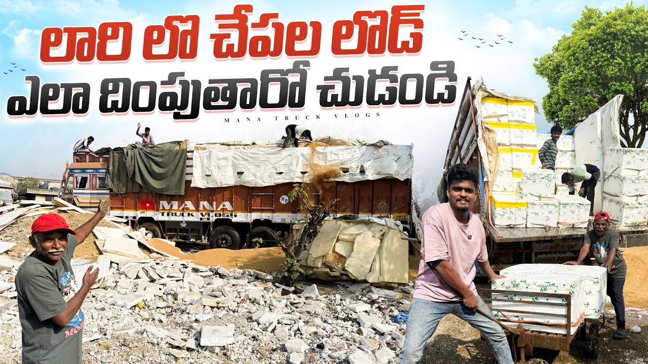 Fish unloading ఎలా చేస్తారో చూడండి 🐟పంజాబ్ చేపల మండి లొ ఎన్ని రోజులు ఉన్నాం 🚛
