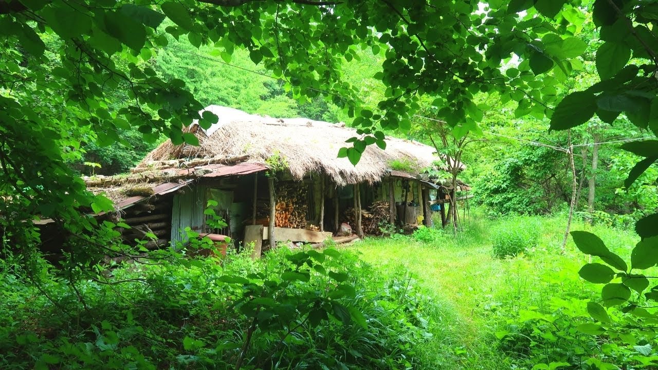 인제골짜기 백년된투방집  //  자연인 할아버지