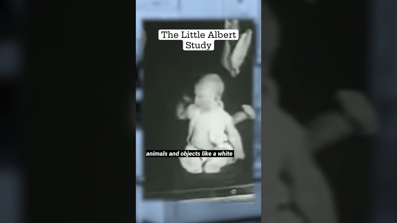 They did this to a baby? The Little Albert Experiment.. #experiment #sad #creepy #disturbing