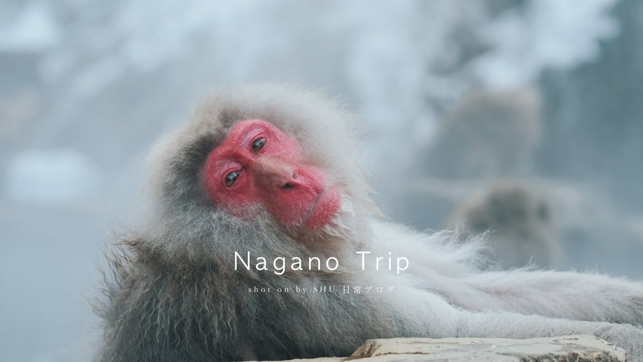 【長野】Nagano trip footage shot on SONY ZV-E1