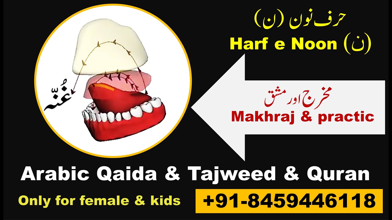 Makhraj of letter Noon (ن) | How to pronounce letter Noon (ن) in Tajweed | Learn Quran with Tajweed
