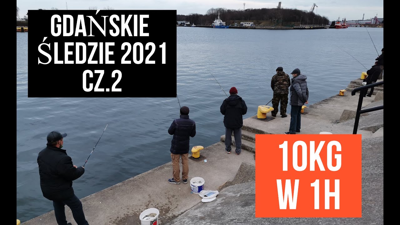 TŁUSTE POŁOWY - ŚLEDZIE 28.3.2021, wędkarstwo trójmiasto, wieczór Gdańsk Nowy Port cz.2