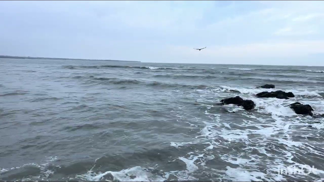 Хьадис-22. Шархь Риядус-Солихьин.