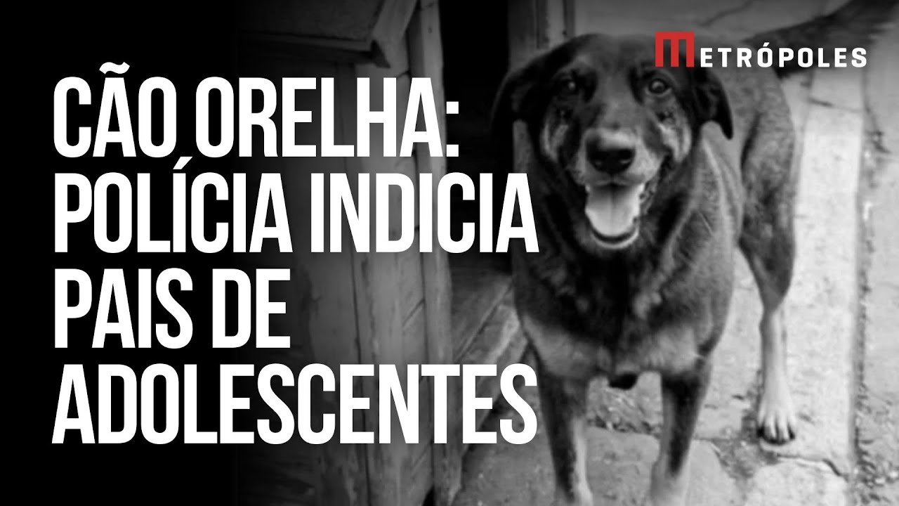 Cão Orelha: polícia indicia pais de adolescentes por coagir testemunha
