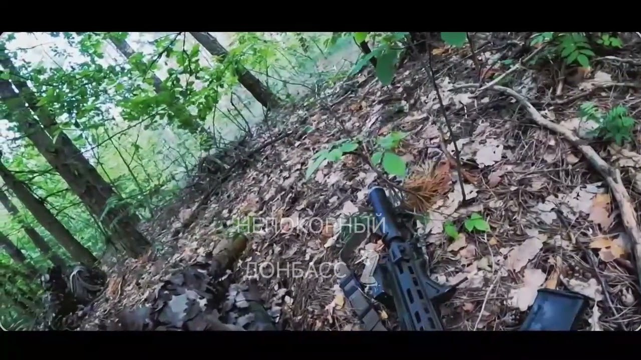 Nh&oacute;m ph&aacute; hoại v&agrave; trinh s&aacute;t của qu&acirc;n đội nga hoạt động trong c&aacute;c khu rừng ở v&ugrave;ng Chernihiv.