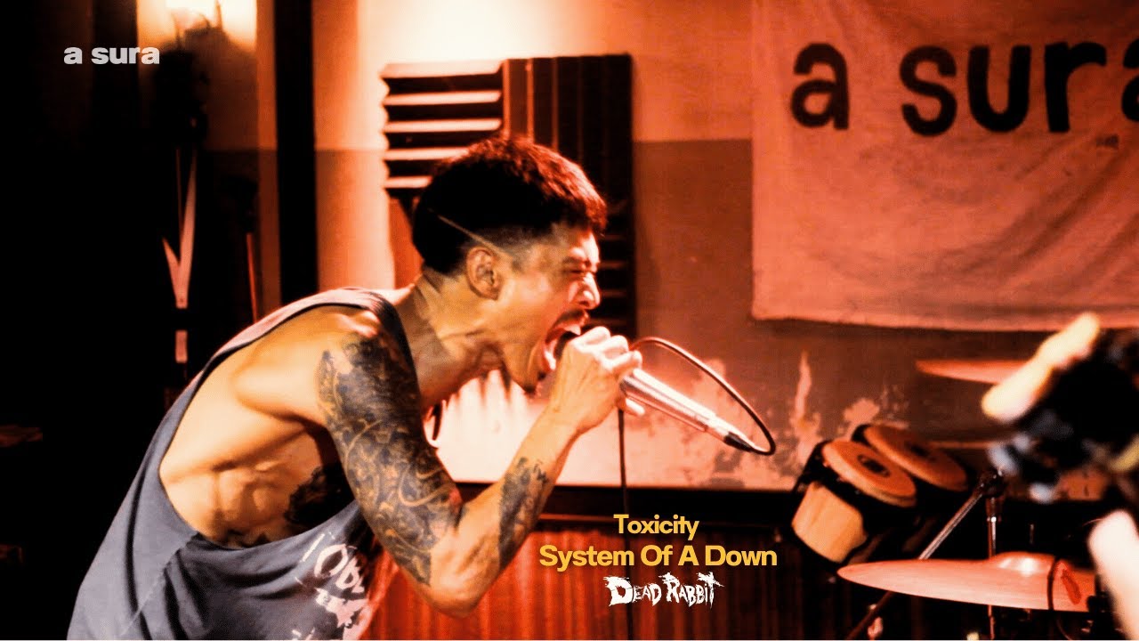 DEAD RABBIT live a sura | System Of A Down - Toxicity