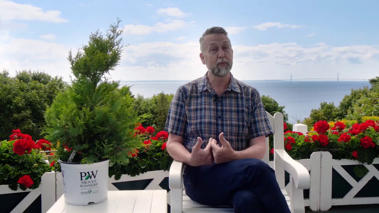 Snow Princess® Lobularia with Jimmy Turner | Proven Winners Alyssum Spotlight