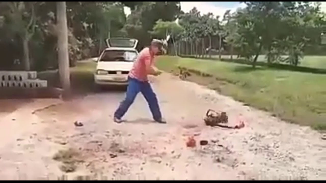 OS COLONOS MAIS ENGRAÇADOS!!   #2