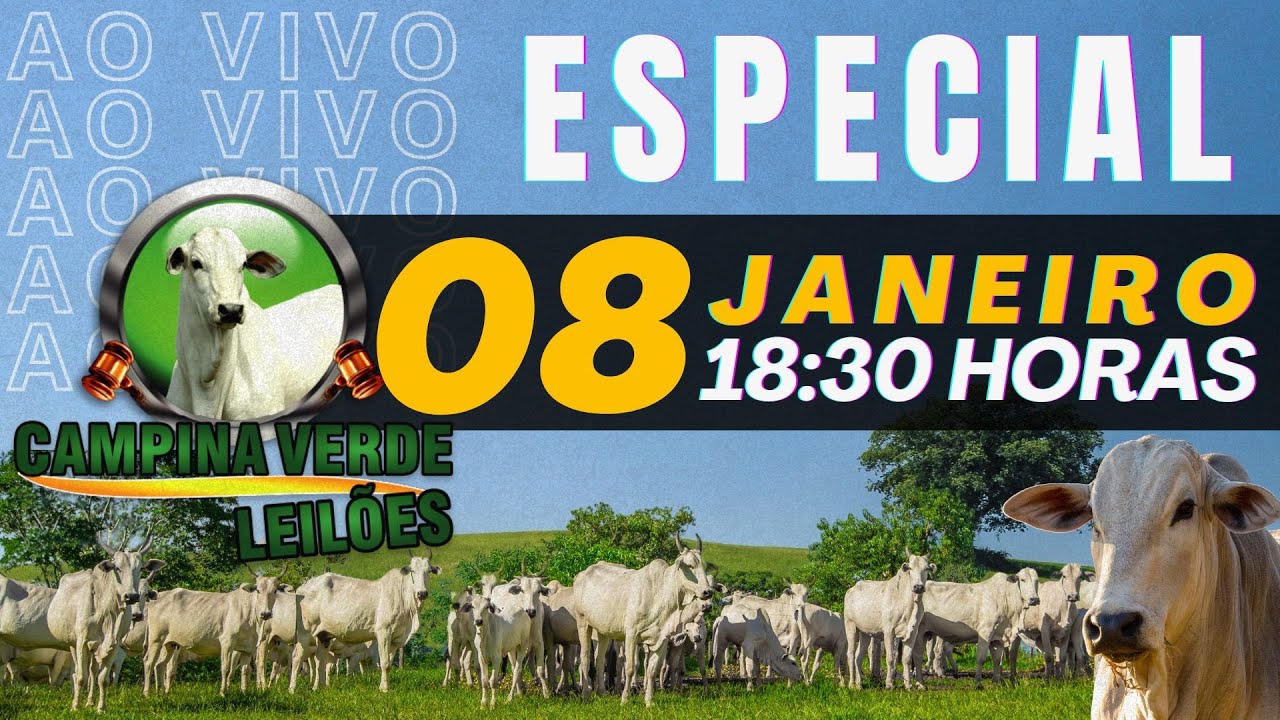 Campina Verde Leilões ESPECIAL - 08 de Janeiro 2026