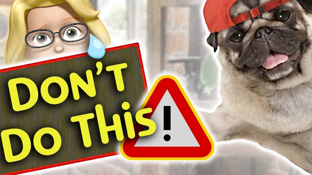 MISTAKES you make WHEN you GROOM DOGS