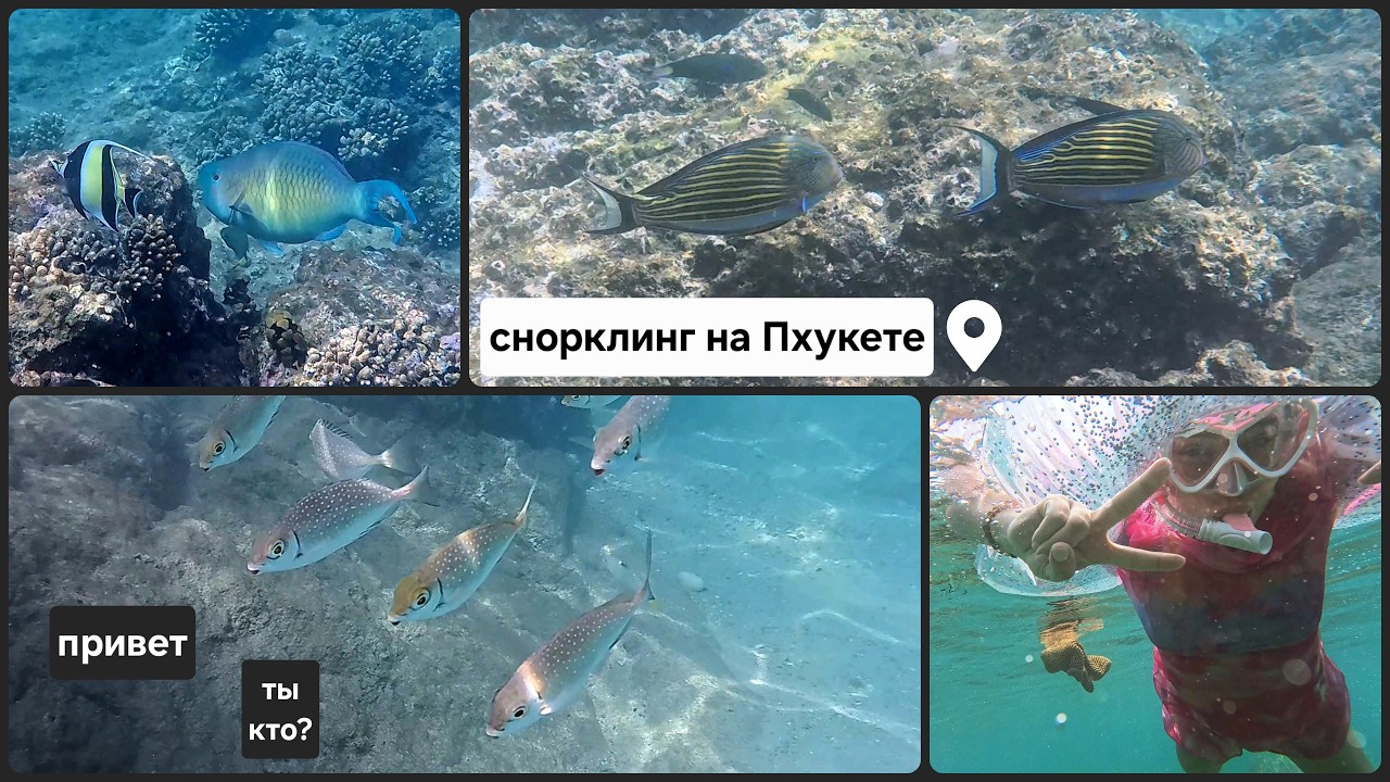 Бесплатный снорклинг на Пхукете, пляж Януй (Yanui Beach). Таиланд 2026.