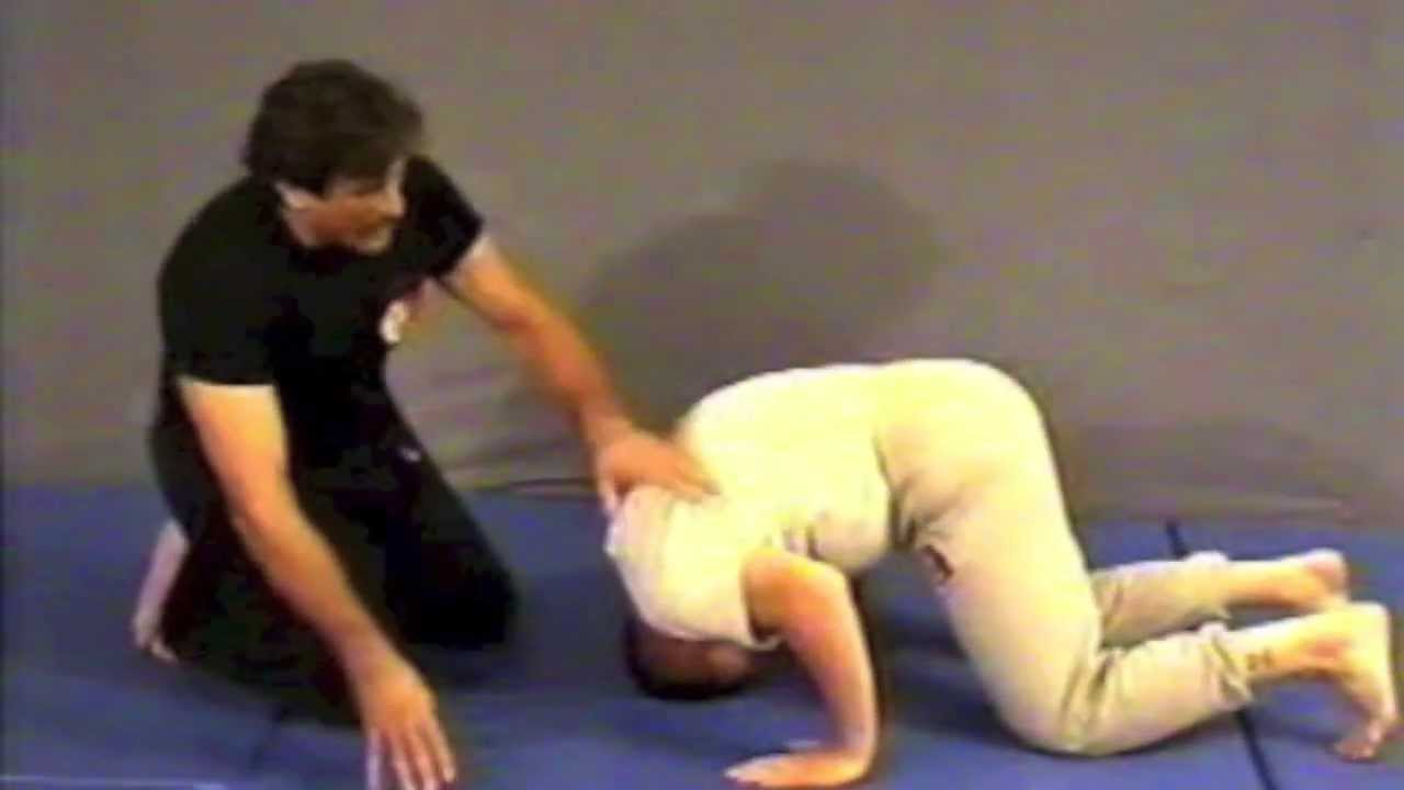 The Bart Vale OFFICIAL Shootfighting Instructional Video Series - PART ONE