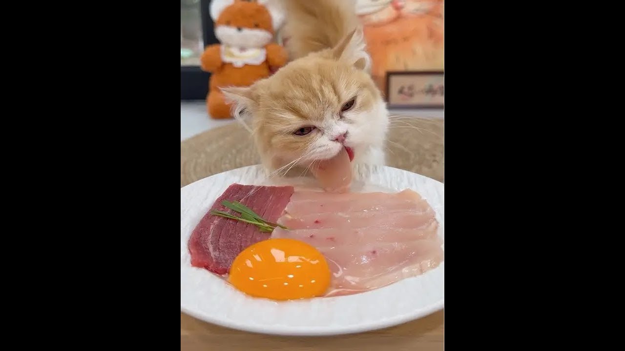 Little cats heal hearts. 