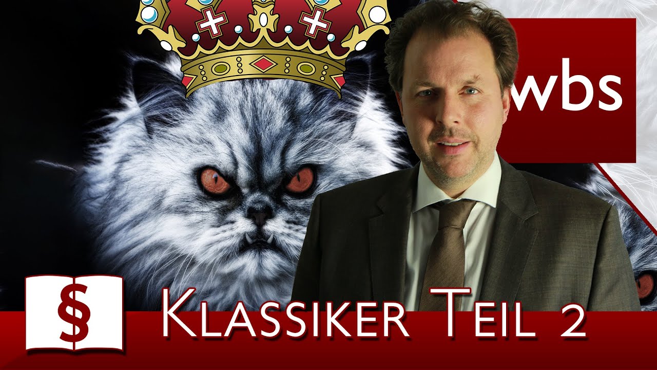 Jura Basics Klassiker aus dem Strafrecht Nr.2: Der Katzenkönig Fall | Kanzlei WBS