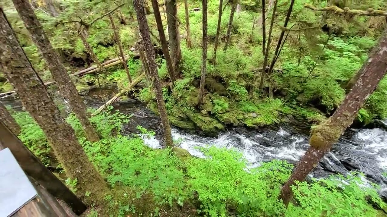 Lunch Creek Falls near Ketchikan Alaska Settler's Cover State Park Emery Tobin Lake
