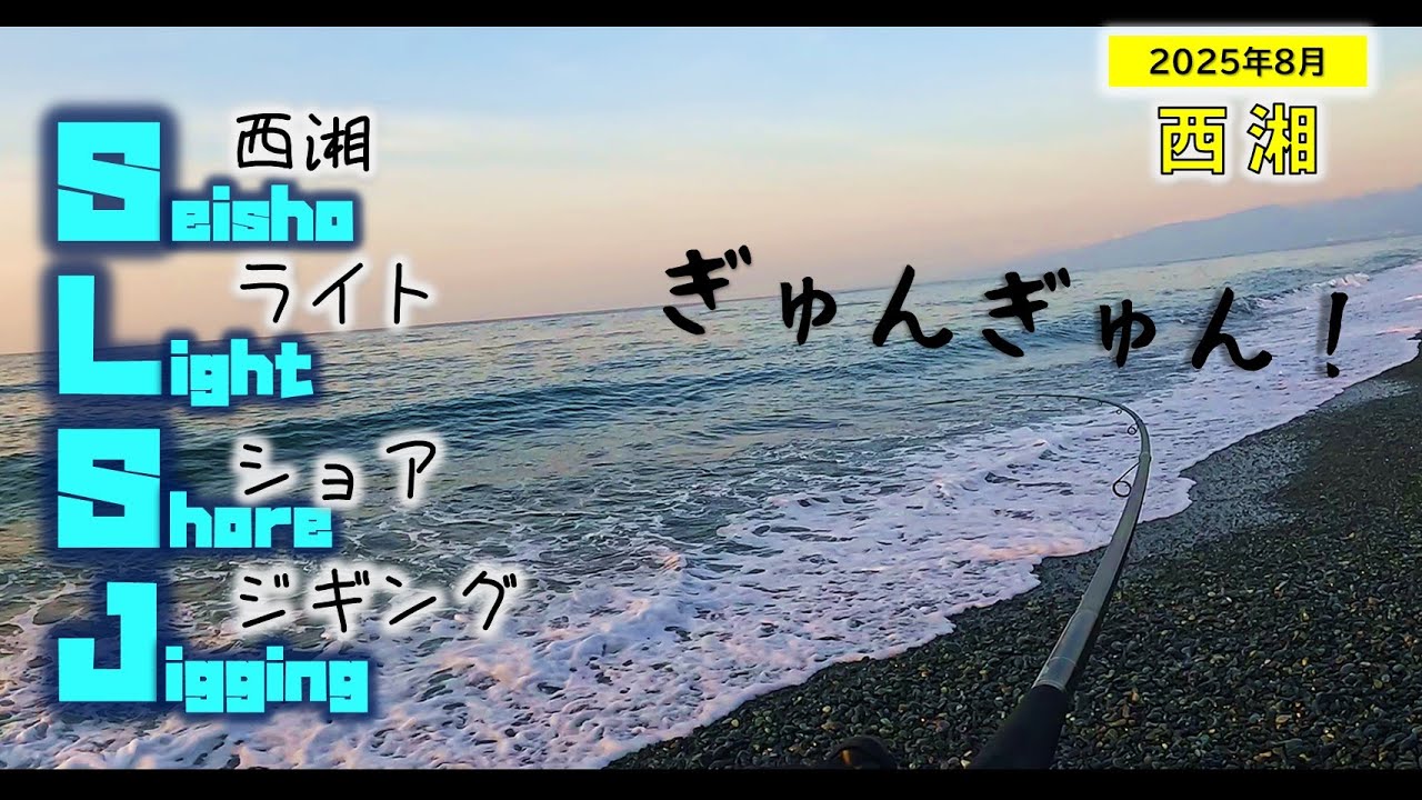 【西湘】シーバス&フラット&LSJ/ライトショアジギング