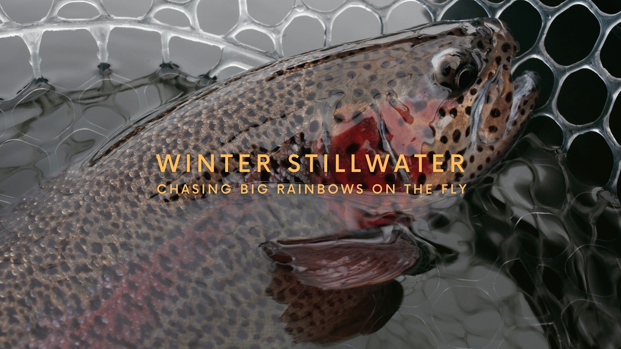 Chasing Big Rainbows On The Fly - Winter Stillwater Fishing