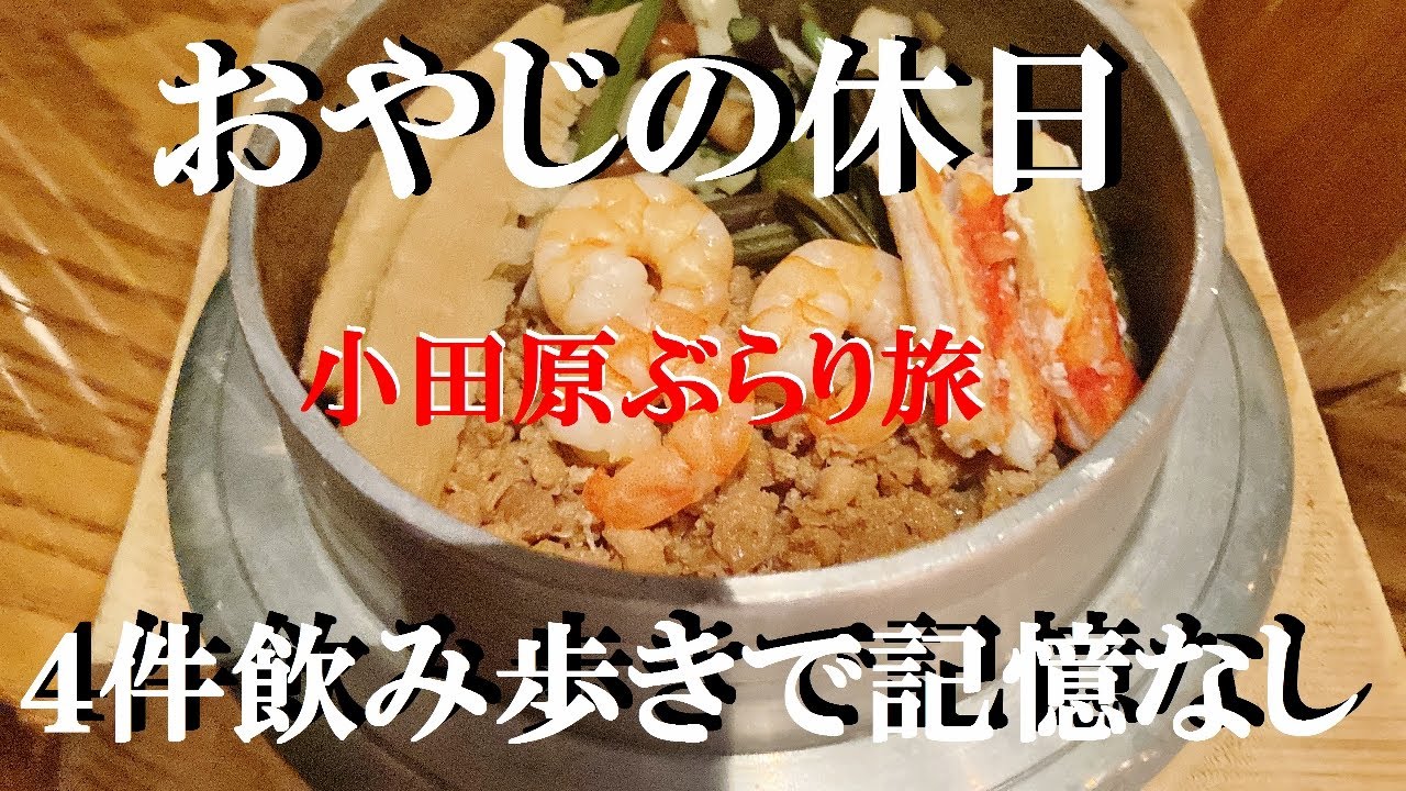 NEW おやじの休日散歩してから水分補給4件はしごで帰り道記憶なし小田原ぶらり旅【焼鳥日高】【日高屋】【鳥ぎん】【吉野家】