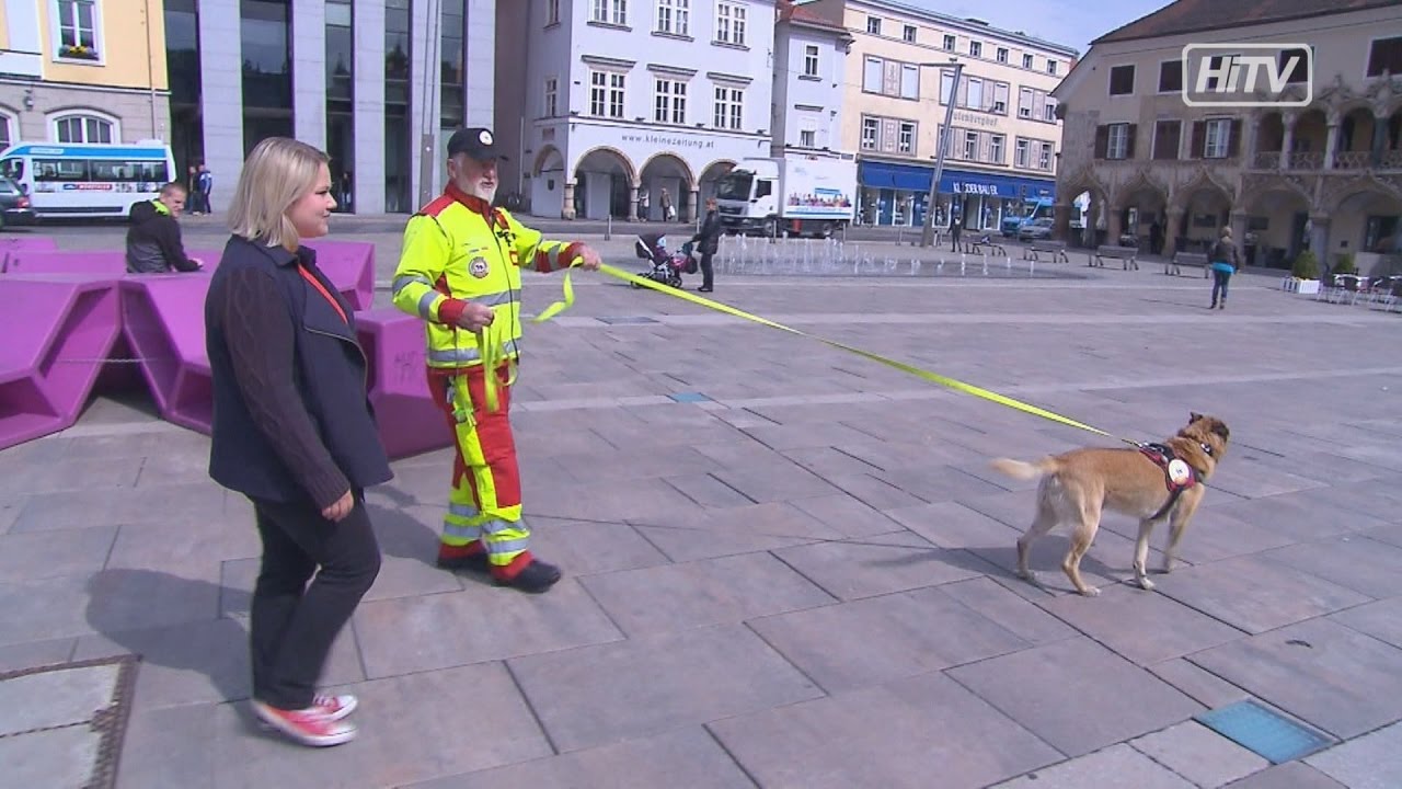 Tiergeflüster - Mentrailing