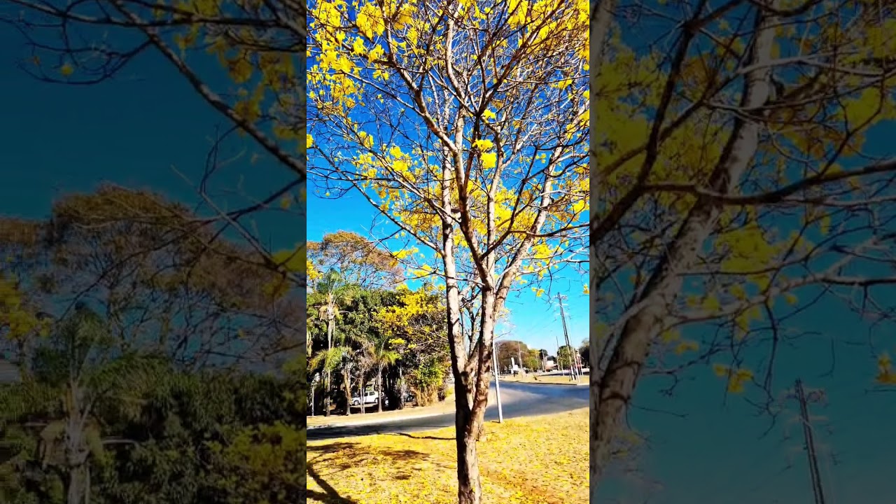 Deus é bom o tempo todo 