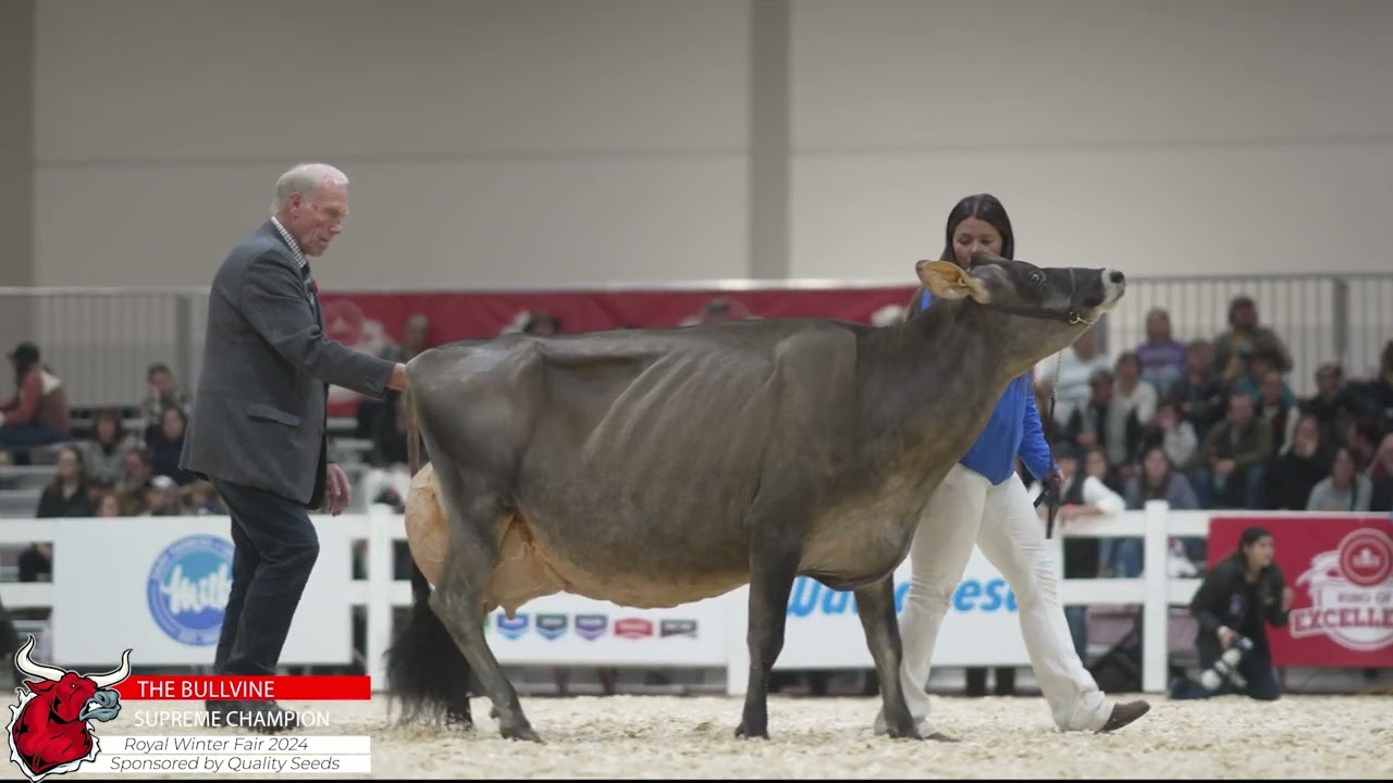 2024 Quality Seeds 2024 Royal Winter Fair Supreme Champion