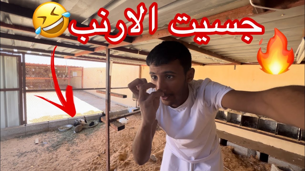 تتوقعون الارنب طلع فيها ورعان ببطنها ؟؟