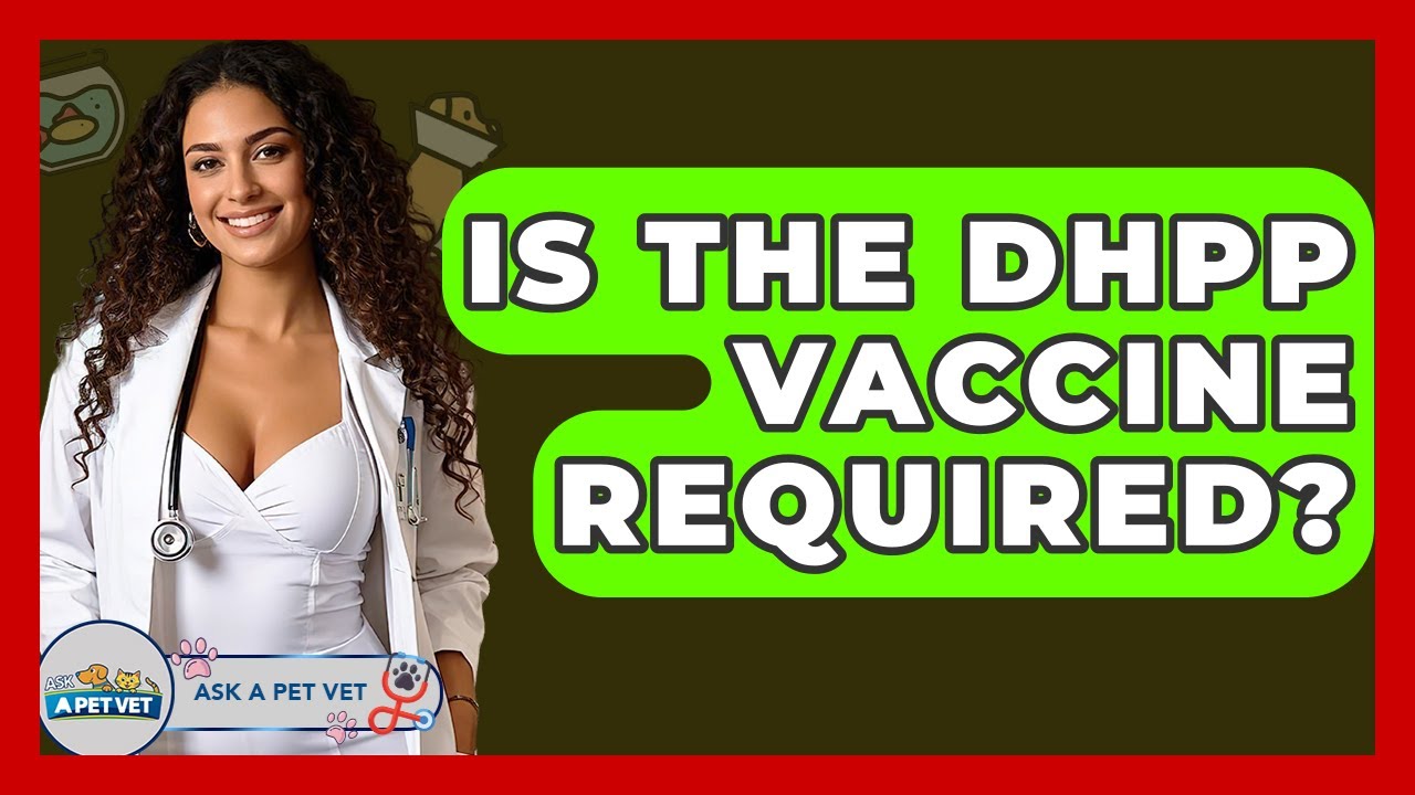 Is The DHPP Vaccine Required? - Ask A Pet Vet