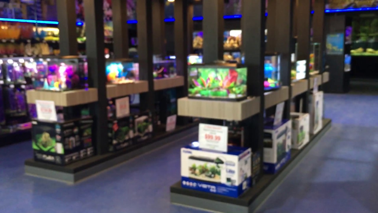Aquarium Adventure SuperStore ,Ohio Tour