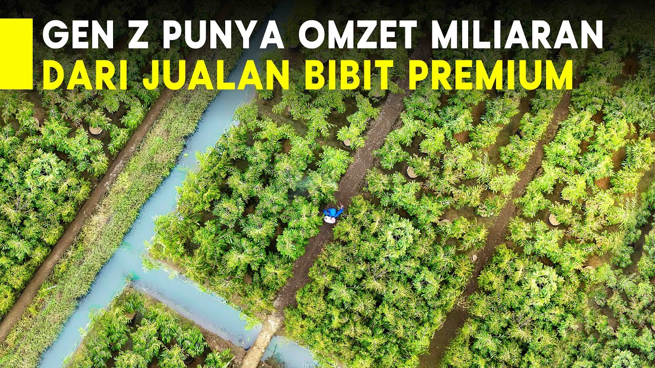 Pengusaha Gen Z Punya Omzet Miliaran Dari Usaha Pertanian